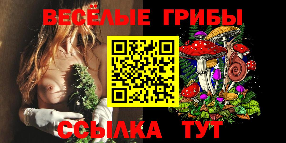 Псилоцибиновые грибы Psilocybe Майкоп
