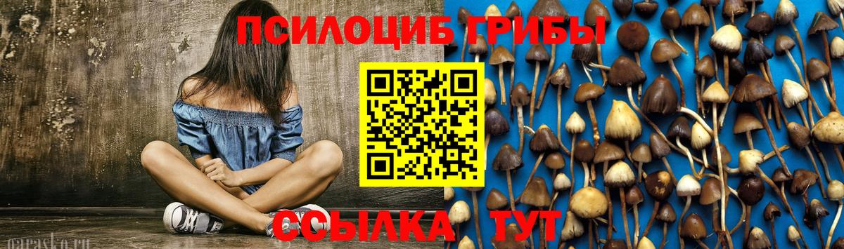 Майкоп  Псилоцибиновые грибы мицелий  Вход с VPN 