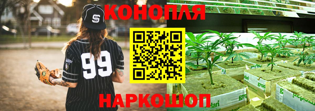 Канабис MAZAR  Вход с VPN  Бошки Шишки White Widow  Майкоп  Канабис марихуана 